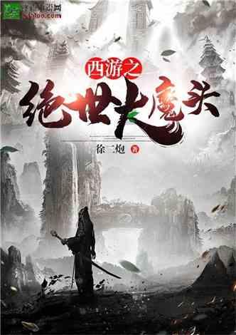 迷你汽车记忆卡